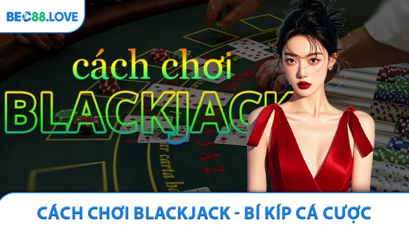 Cách Chơi Blackjack - Bí Kíp Dành Cho Người Mới Bắt Đầu